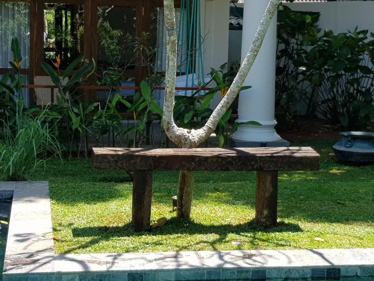 Bilin Tree House Hotell Galle Eksteriør bilde
