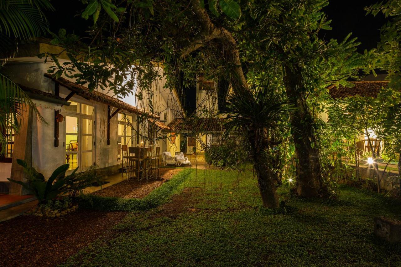 Bilin Tree House Hotell Galle Eksteriør bilde