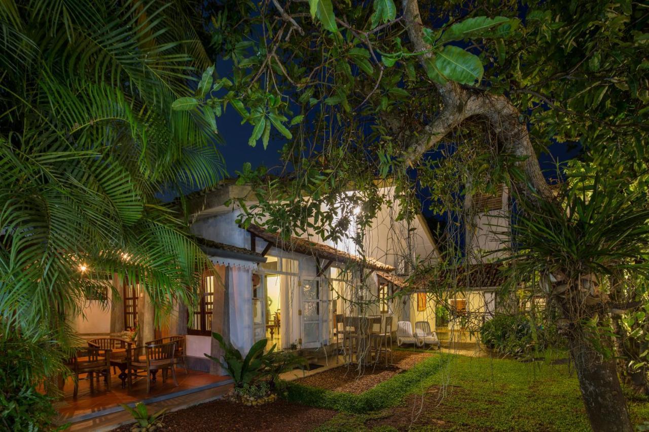 Bilin Tree House Hotell Galle Eksteriør bilde