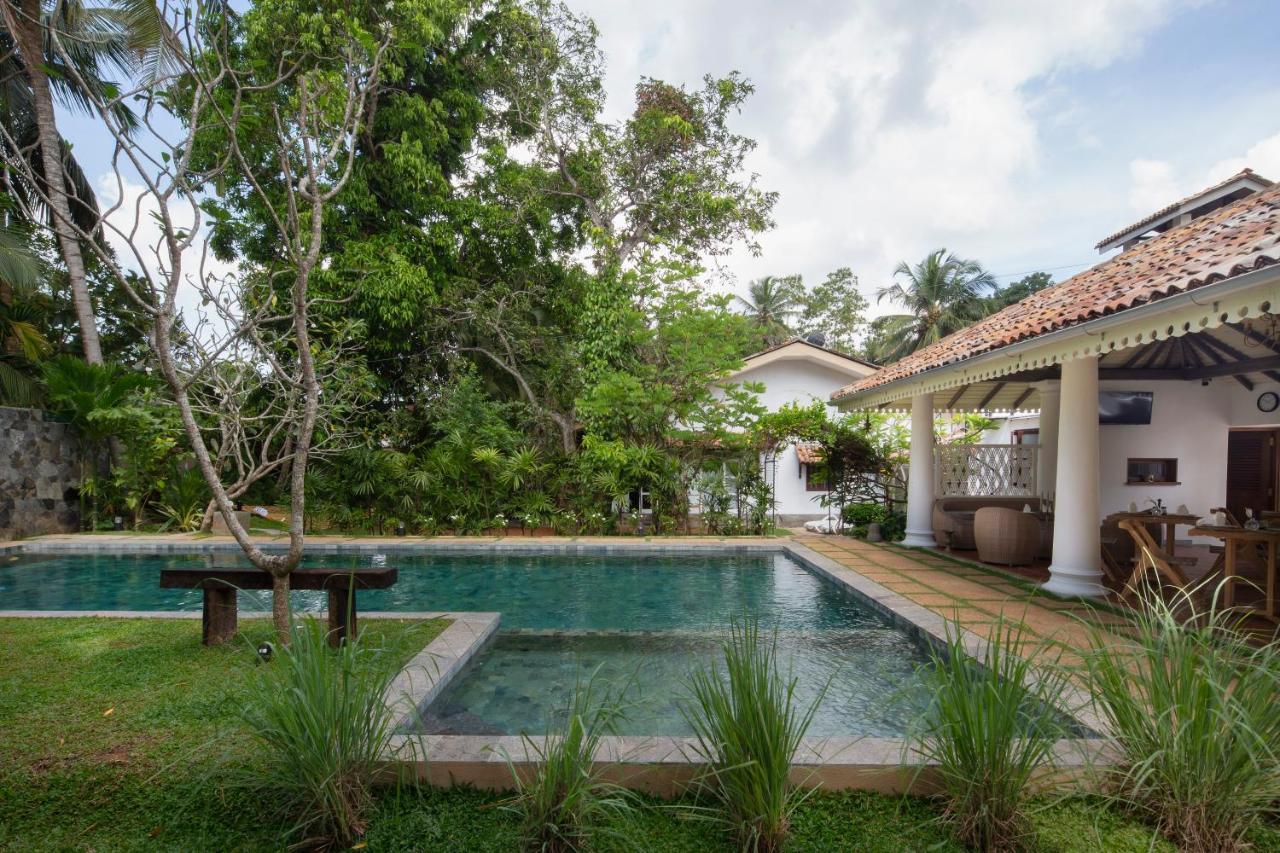 Bilin Tree House Hotell Galle Eksteriør bilde
