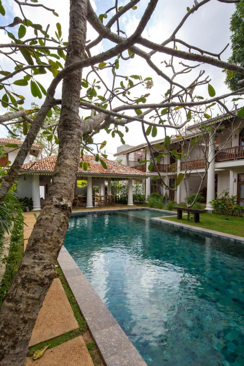 Bilin Tree House Hotell Galle Eksteriør bilde
